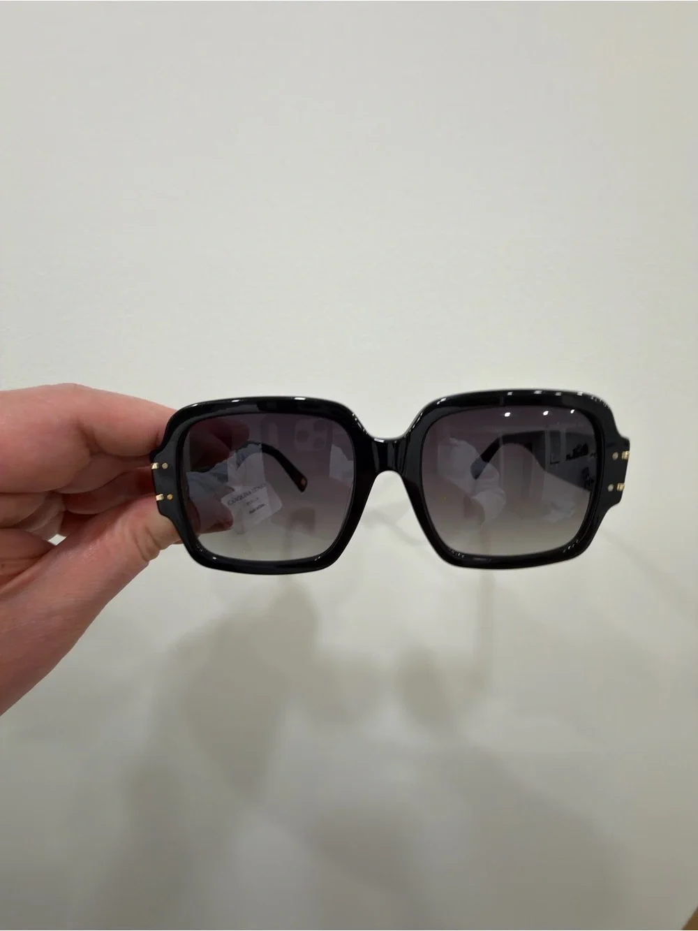 Carolina Lemke Suri Shiny Black Frame Sunglasses with Gold Accent Luxury Case